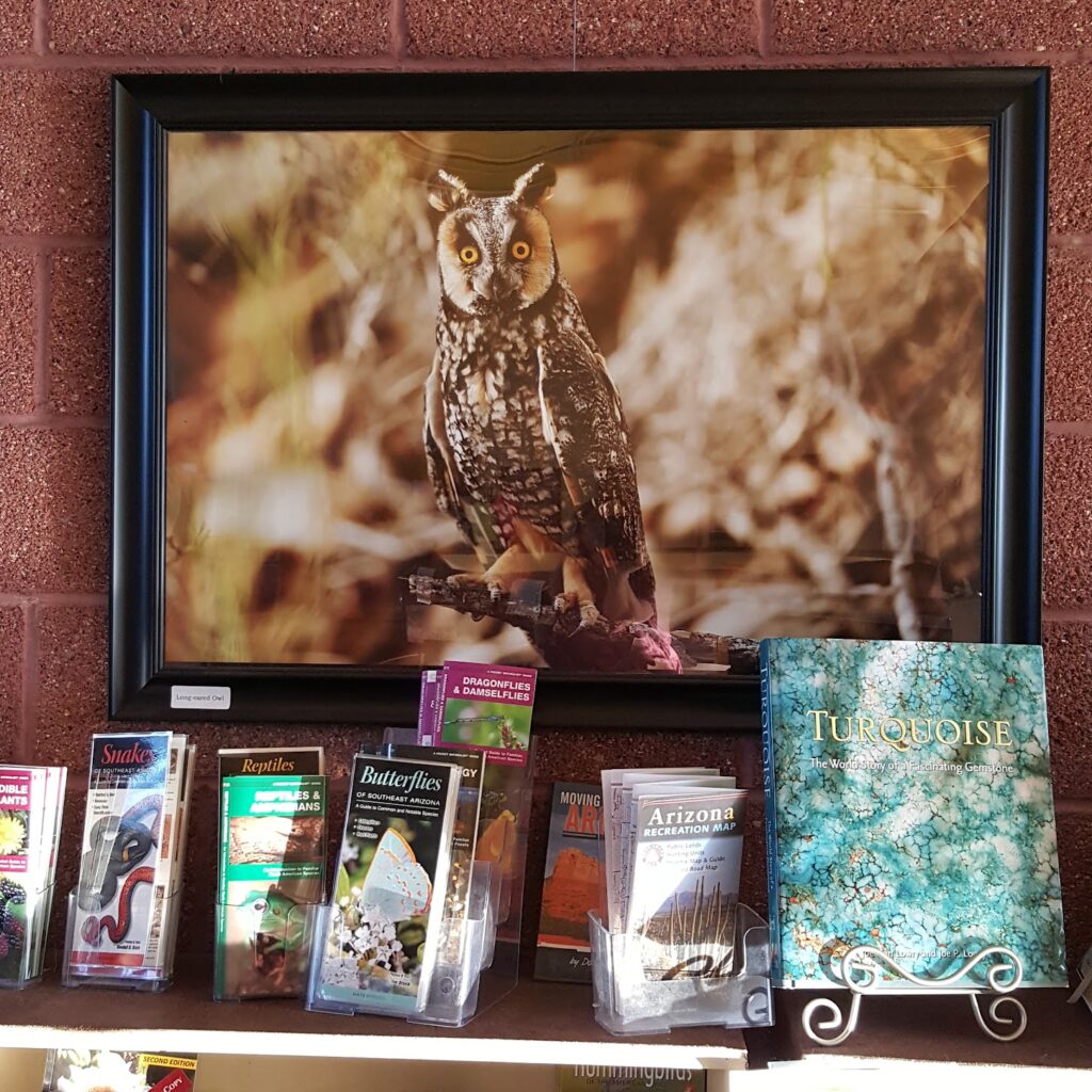 North Mountain Visitor Center Display